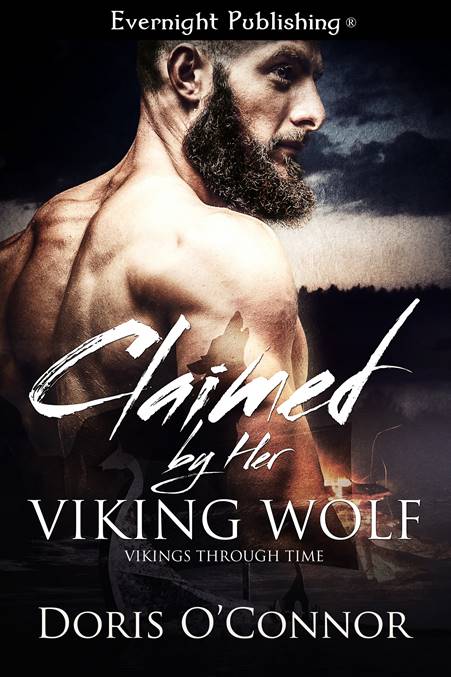 Daily Life of the Vikings by Kirsten Wolf