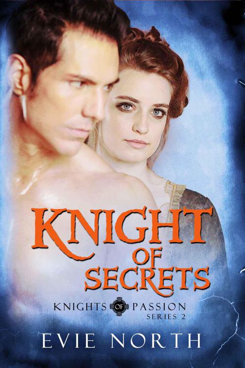 Knightly passions 0.81. Knightly passions / рыцарские страсти. Knight passions галерея. Knighty passion. Knightly passions игра.