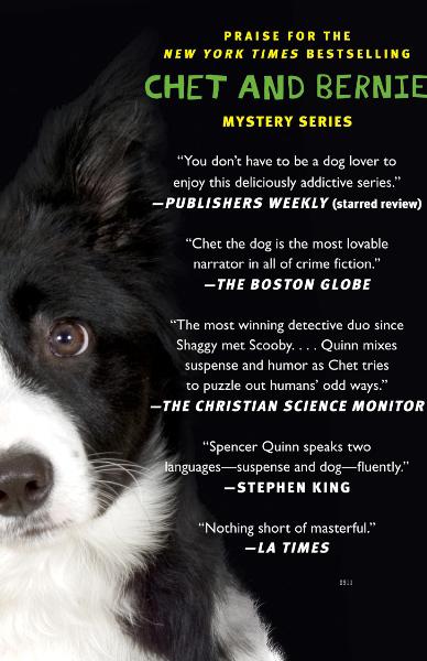 the dog who knew too much krista davis