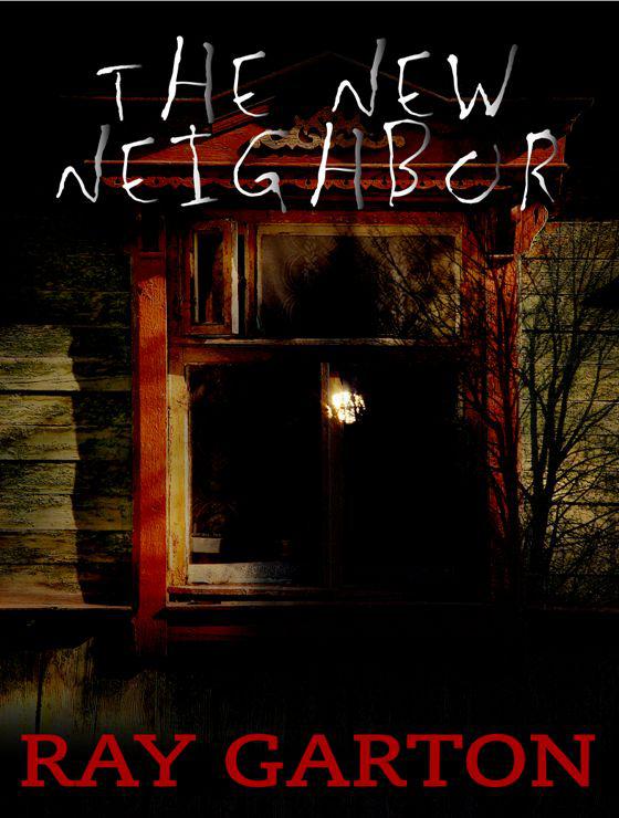book review the new neighbor